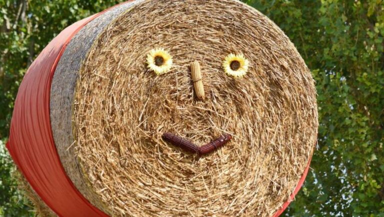100+ Hay Jokes & Puns: You’re Gonna Bale! 🌾🤣