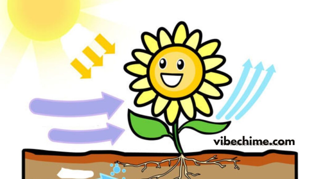 Funny Photosynthesis One-Liner Jokes – Short & Funny 🌍🌱