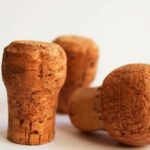 149+ Cork Puns That Will Pop You Into Fits of Laughter