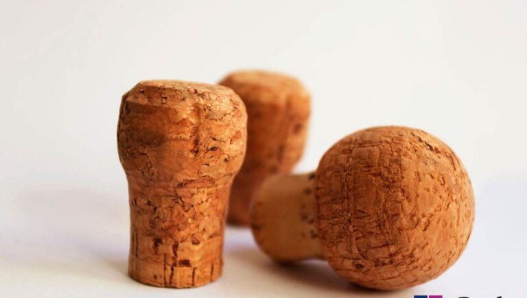 149+ Cork Puns That Will Pop You Into Fits of Laughter