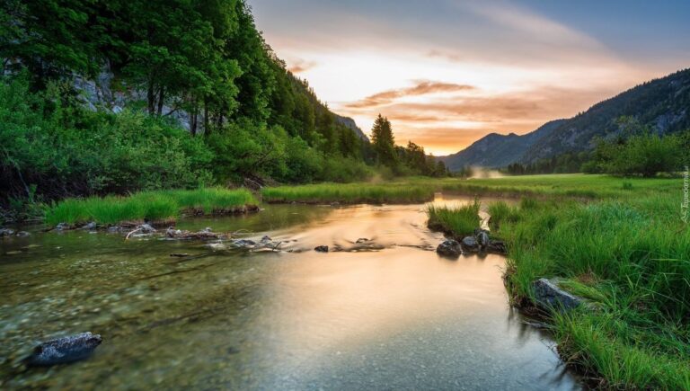 138+ River Puns That Will Keep You Flowing with Laughter!