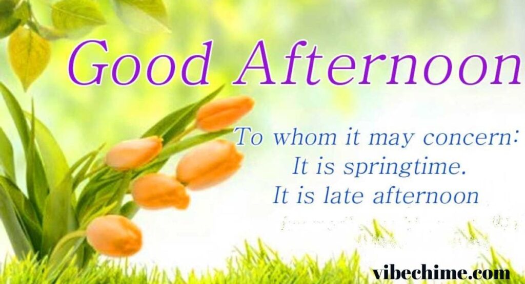 tuesday-blessings